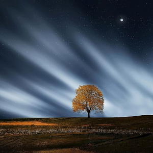 公园老婆暴露给偷窥
