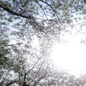 公园老婆暴露给偷窥
